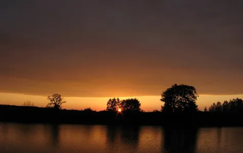 Zdjęcie artykułu Inwestycje w nieruchomości - czy warto?